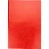Daytona Beach Notebook