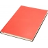Daytona Beach Notebook