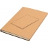 Daytona Beach Notebook