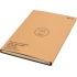 Daytona Beach Notebook