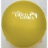 ORLANDO Beach Ball