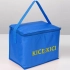MESA cooler bag