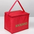 MESA cooler bag