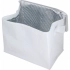 MESA cooler bag