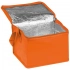 Refrigerator bag for 6 cans NIEBY 