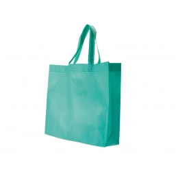 BAG IN TNT GREEN 38X34X10 cm