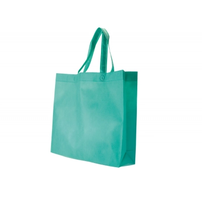 
                                                BAG IN TNT GREEN 38X34X10 cm
                                                