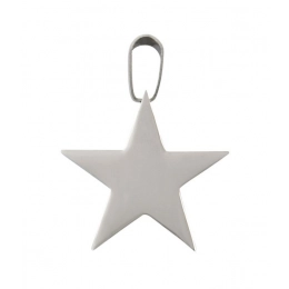 PENDANT STEEL STAR