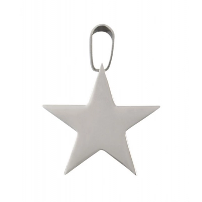 
                                            PENDANT STEEL STAR
                                            