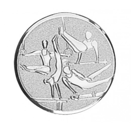 PLATE MEN'S GYMNASTICS d=25mm