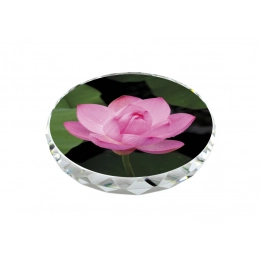 PAPER WEIGHT SHAPED FOR SUBLIMATION