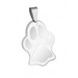 PENDANT STEEL PAW