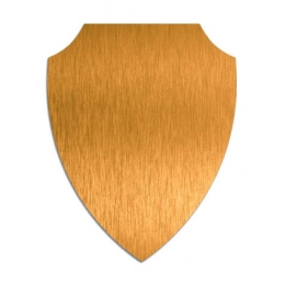 TARGA ORO X SUBLIMAZIONE mm 180X144