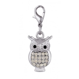 CHARM - OWL