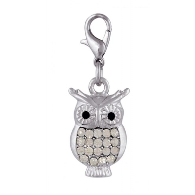
                                            CHARM - OWL
                                            