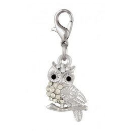 CHARM - OWL