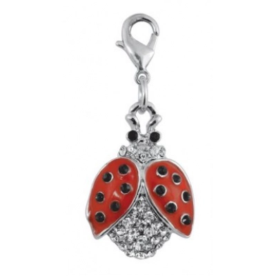 
                                                CHARM - LADYBIRD
                                                