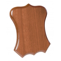 PLAQUE LIGHT-COLORED 180X230X15 MM