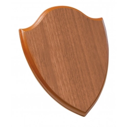 PLAQUE LIGHT-COLORED  200X250X15 MM