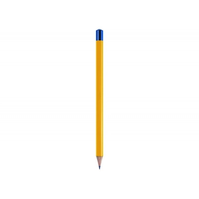 
                                            Большой желтый карандаш / синяя крышка - минимум 50 шт.
                                            