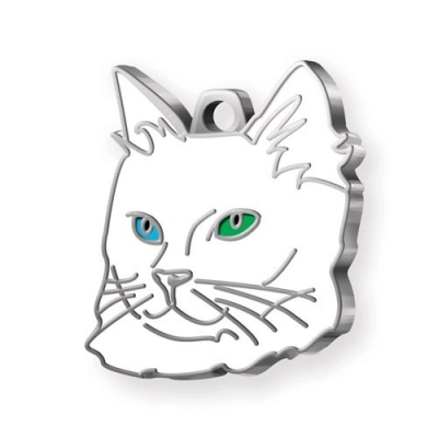 
                                            TAG CAT VAN GREEN AND BLUE EYES
                                            