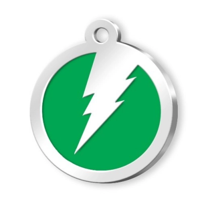 
                                            Адресник для питомца круглый зелёный с молнией
                                            