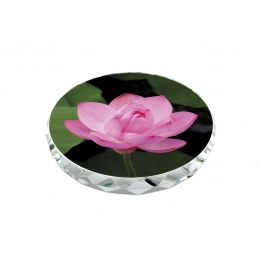 PAPER WEIGHT SHAPED FOR SUBLIMATION