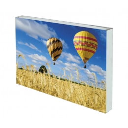 GLASS FOR SUBLIMATION mm100x160 h19