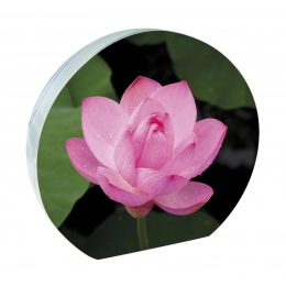 Half-round glass sublimation 120x110 mm