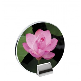 GLASS WITH BUILT-IN STAND 160X155