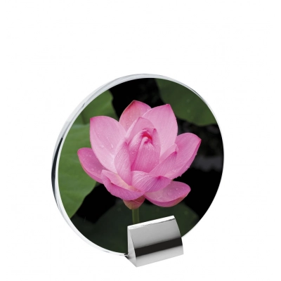 
                                            Стекло с встроенной подставкой 160x155
                                            