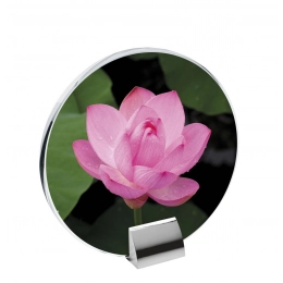 GLASS WITH BUILT-IN STAND 180X175