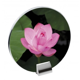 GLASS WITH BUILT-IN STAND 200X195