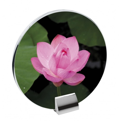 
                                            Стекло с встроенной подставкой 200x195
                                            