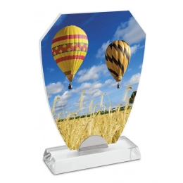 TROFEO VETRO X SUBLIMAZIONE 190x150x8