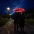 AC midsize umbrella FARE® Windmatic®