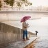 AC regular umbrella