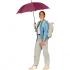 AC regular umbrella