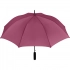 AC regular umbrella