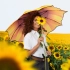 AC regular umbrella FARE® Motiv