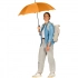 AC regular umbrella