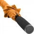 AC regular umbrella