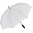 AC regular umbrella