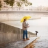 AC regular umbrella