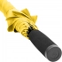 AC regular umbrella