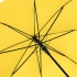 AC regular umbrella