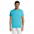 Men's T-shirt REGENT 150
