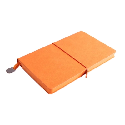 
                                                Undated Fusion daily planner, A5, turquoise, cream lined block.
                                                