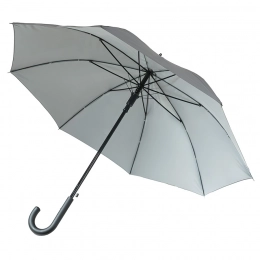 Umbrella-cane 