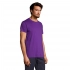 T-shirt for men REGENT 150
